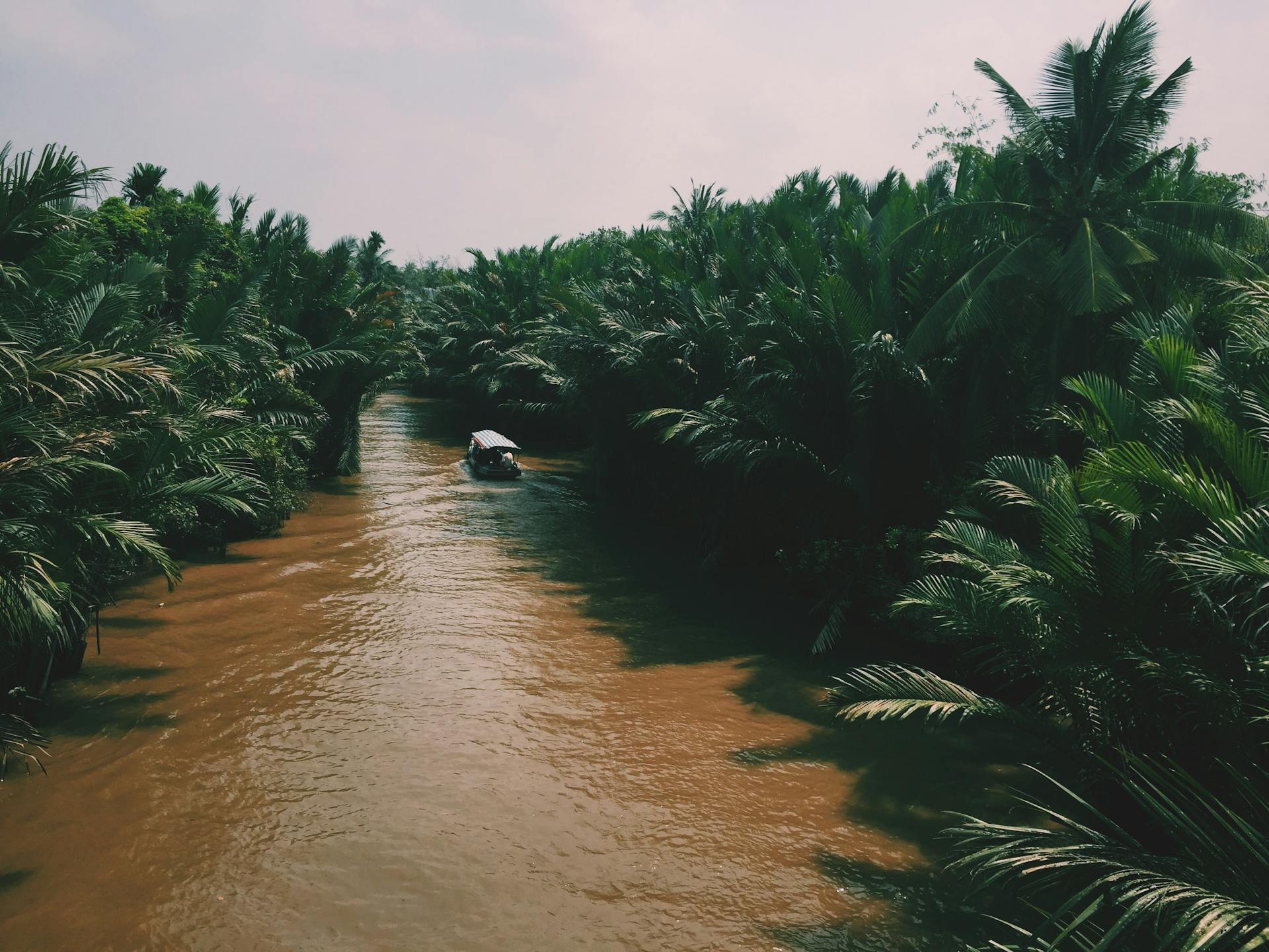 Begin your visa-prepared day with Vietnam’s tranquil ambiance